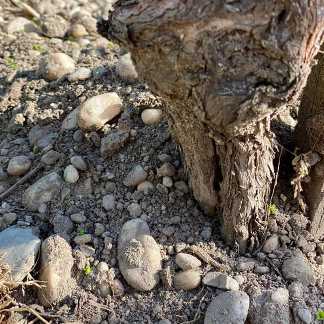 Cromas Carmenere Gran Reserva 2022 0.75 l