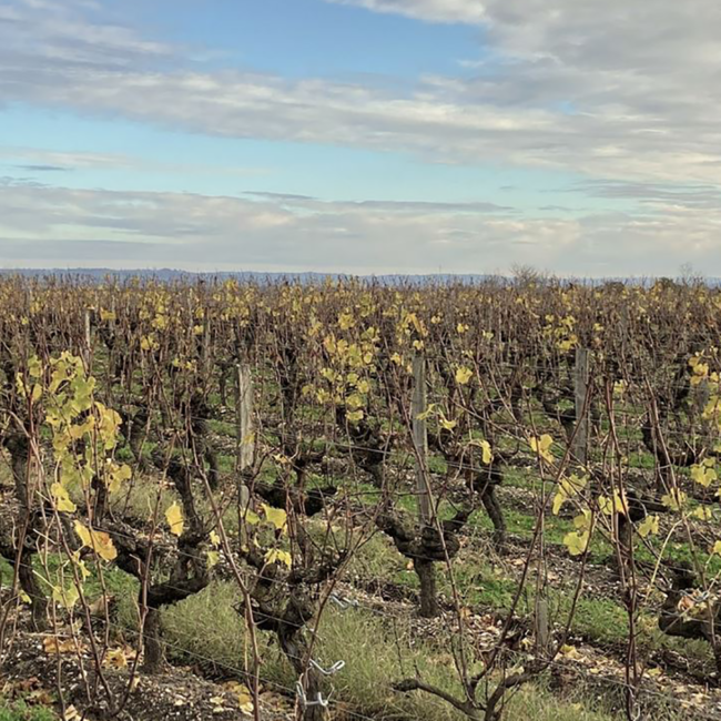 Cromas Carmenere Gran Reserva 2022 0.75 l