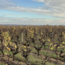 Cromas Carmenere Gran Reserva 2022 0.75 l