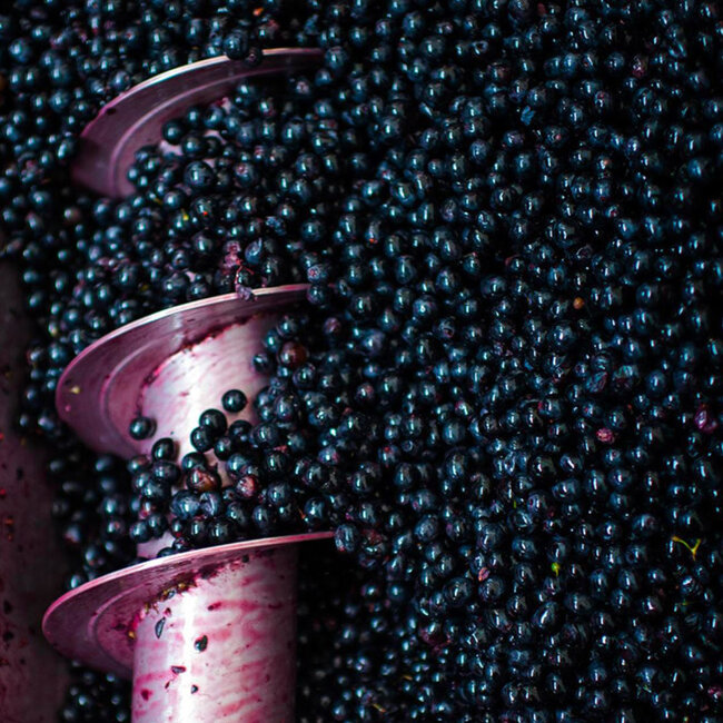 Paleo (CF) Rosso DOC 2020 0.75 l