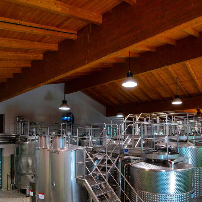 Paleo (CF) Rosso DOC 2020 0.75 l