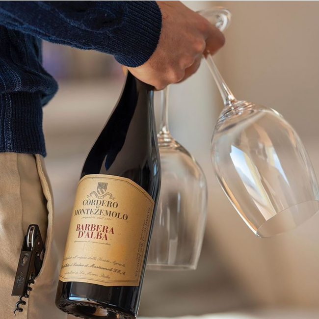 Barbera d'Alba Barricato DOC 2024 0.75 l