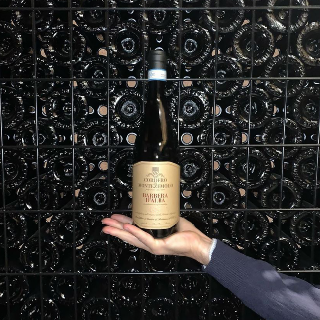 Barbera d'Alba Barricato DOC 2024 0.75 l