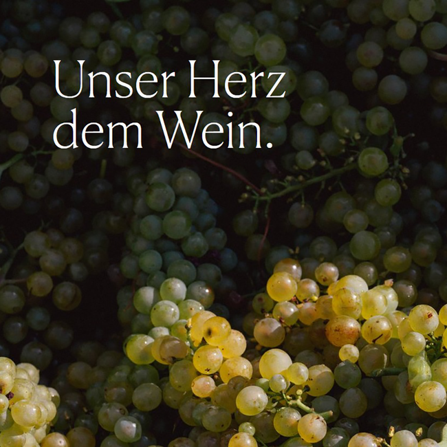 Weißburgunder Papageno 2024 Magnum 1.5 l