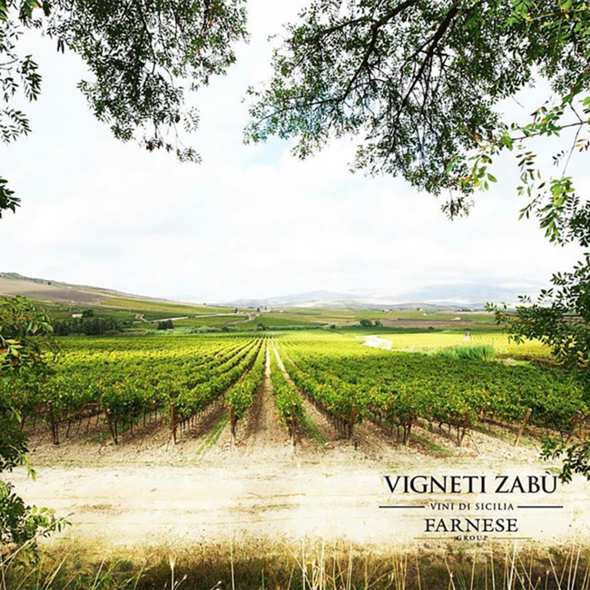 Vigneti Zabu Il Passo Verde Nero d'Avola Sicilia DOC BIO 2022 0.75 l