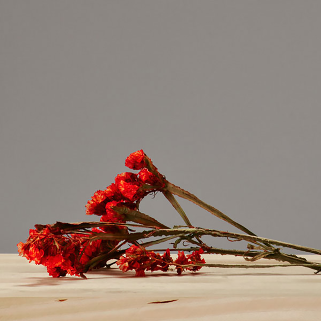 Calafuria Negroamaro Rosato Salento IGT 2024 0.75 l