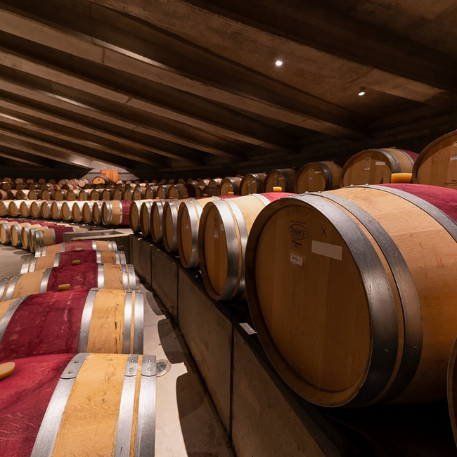 Syrah Alpha 2022 0.75 l