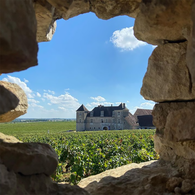 Meursault AOC 2023 0.75 l