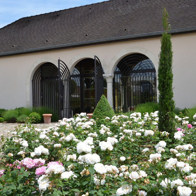 Meursault AOC 2023 0.75 l