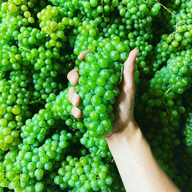 Brut Reserve Winzersekt 0.75 l 12% vol