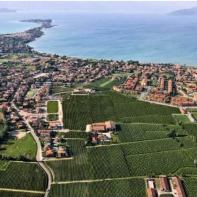 I Frati Lugana DOC 2024 0.75 l