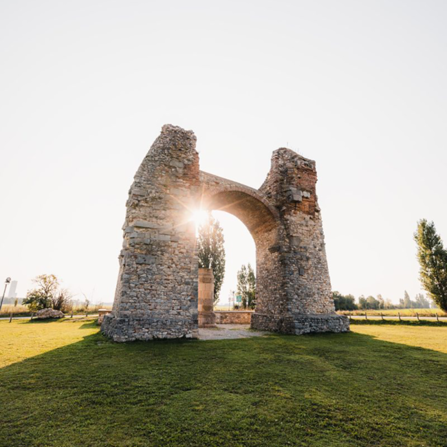 Pinot Noir Reserve 2022 0.75 l