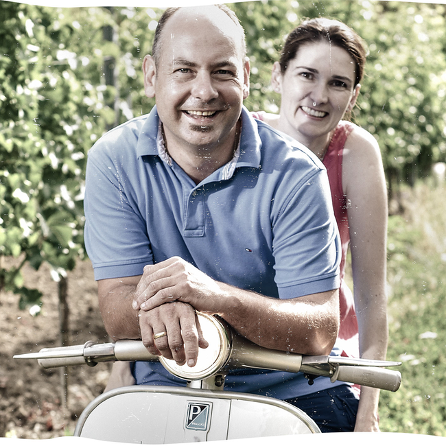 Montanus Grüner Veltliner Kamptal DAC 2024 0.75 l