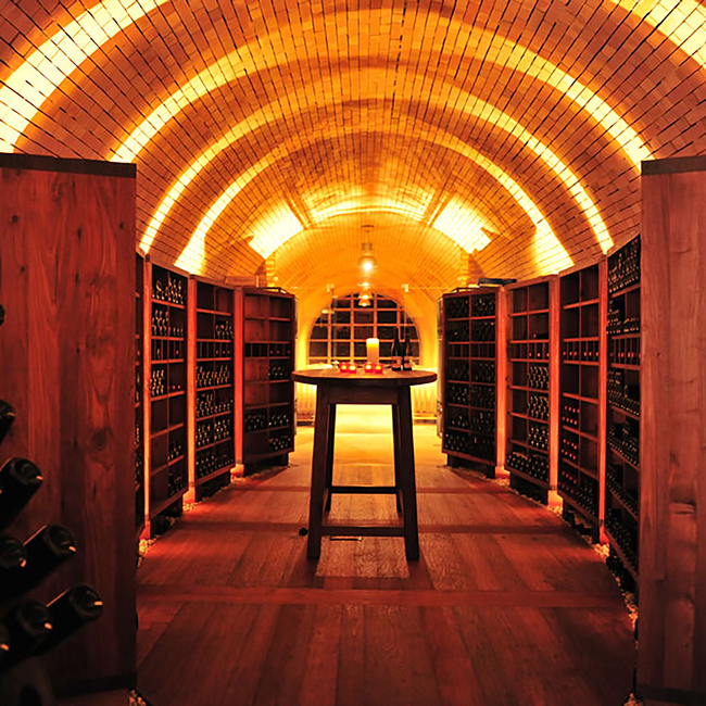 Grüner Veltliner Montanus Kamptal DAC 2025 0.75 l
