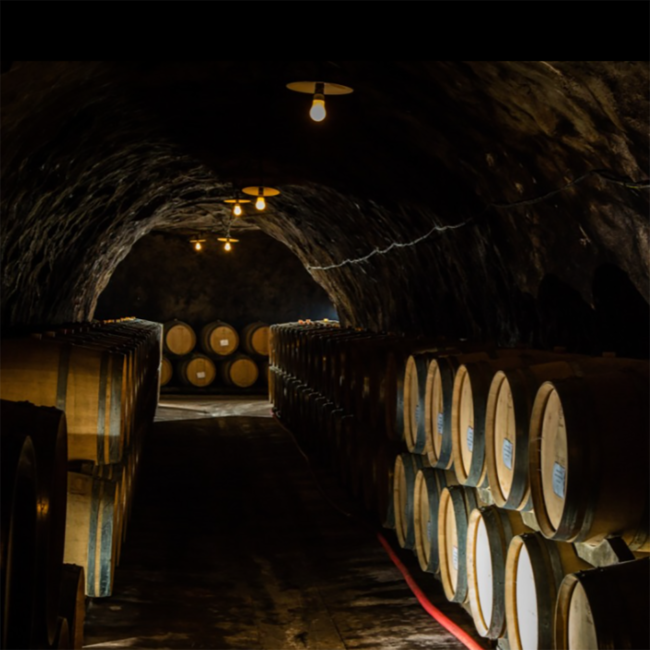 Chateau de Flandry Chardonnay Limoux  AOC 2023 0.75 l