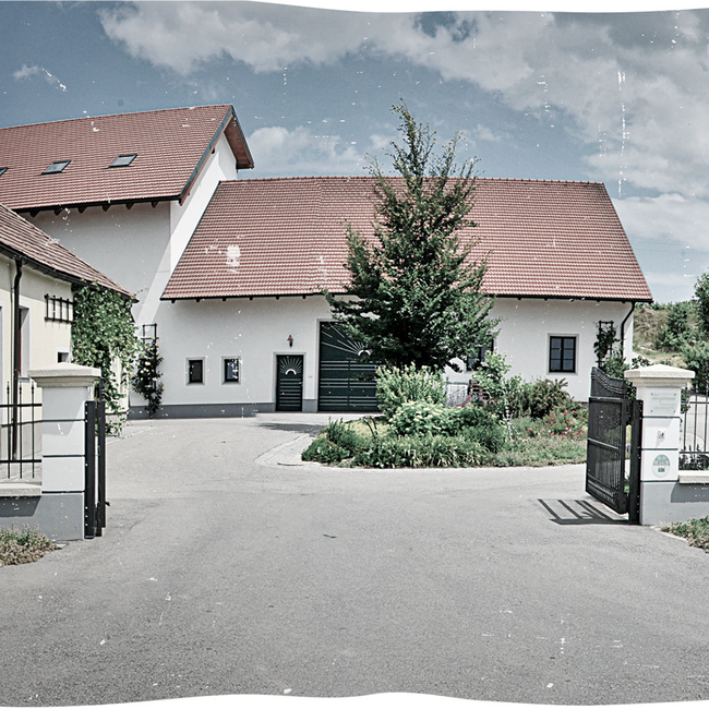 Riesling Ried Heiligenstein 1ÖTW 2022 0.75 l