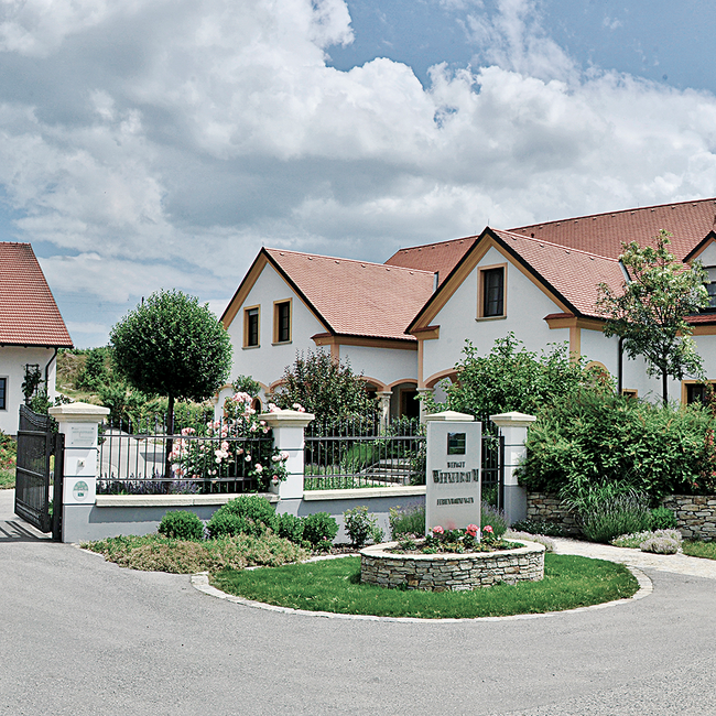 Wahre Werte Weißburgunder Ried Gaisberg 2023 0.75 l