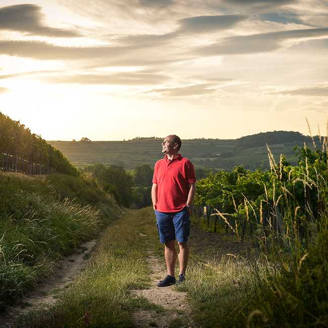 Grüner Veltliner Ried Gaisberg 1ÖTW Kamptal DAC Reserve 2022 0.75 l