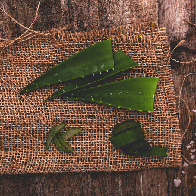 The Illusionist Distiller’s Edition 2024 WILD WESTGin 0.5 l 45% vol