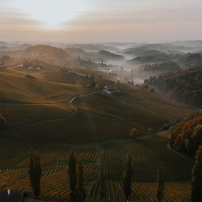 Sauvignon Blanc Zieregg GSTK DAC 2020 0.75 l