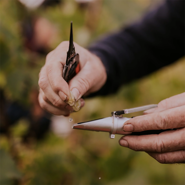 Morillon Ried Zieregg GSTK DAC 2020 0.75 l