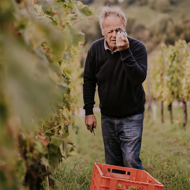 Morillon Ried Zieregg GSTK DAC 2020 0.75 l