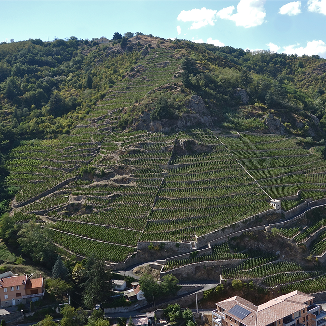 Cotes du Rhone Rouge AC 2022 0.75 l