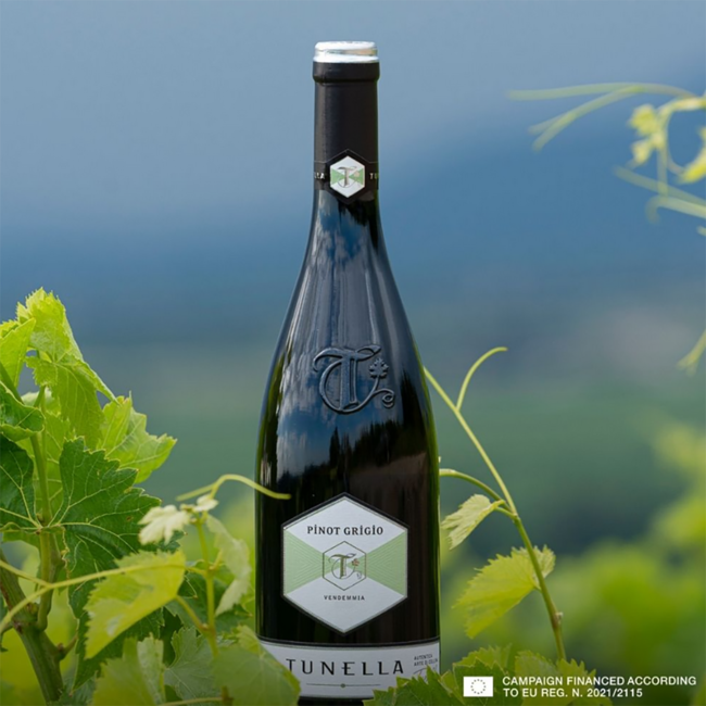 Pinot Grigio Friuli DOP 2024 0.75 l