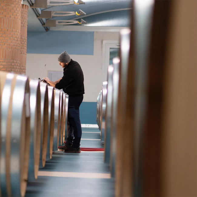 Pinot Grigio Friuli DOP 2025 0.75 l