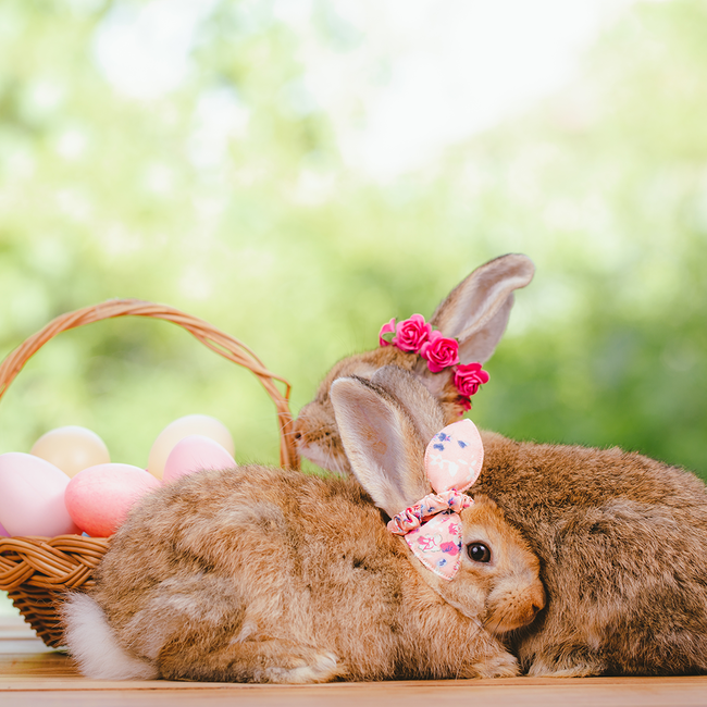 Oster-Eierflasche Eierlikör Vanille 0.10 l 15% vol