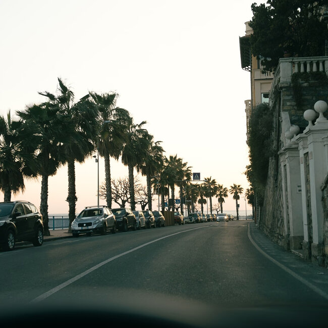 Natives Olivenöl extra "Mosto Oro" (750 ml)