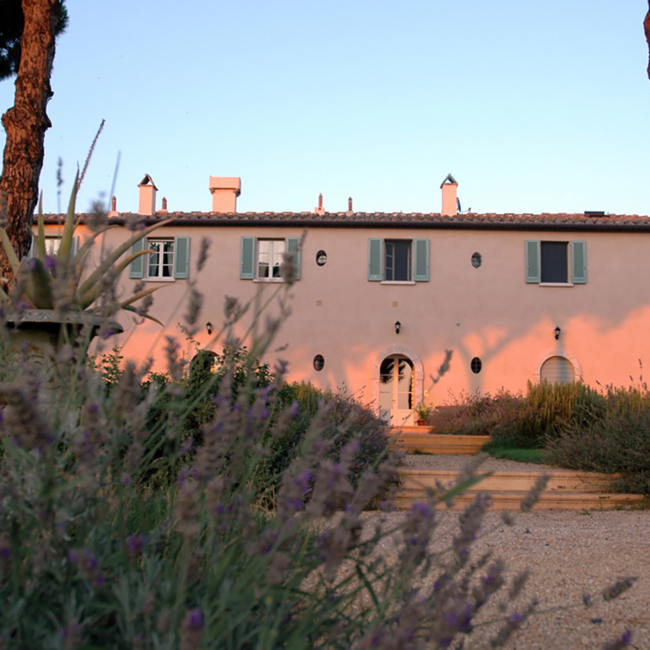 Scalabrone Bolgheri Rosato DOC 2024 0.75 l