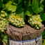 Chardonnay Tiglat 2020 0.75 l