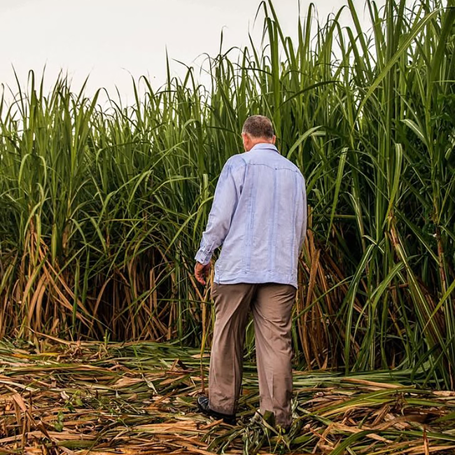 Ron Santiago de Cuba Isla del Tesoro 20 Year Rum in Holztruhe 0.7 l 40% vol