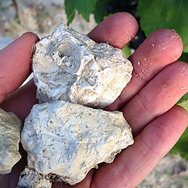 Cuvee Weisser Schotter (SB/WR/GV) 2023 0.75 l