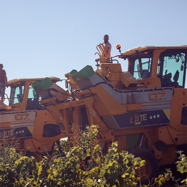 Mademoiselle Sophie Rosé 0.75 l (alkoholfrei)
