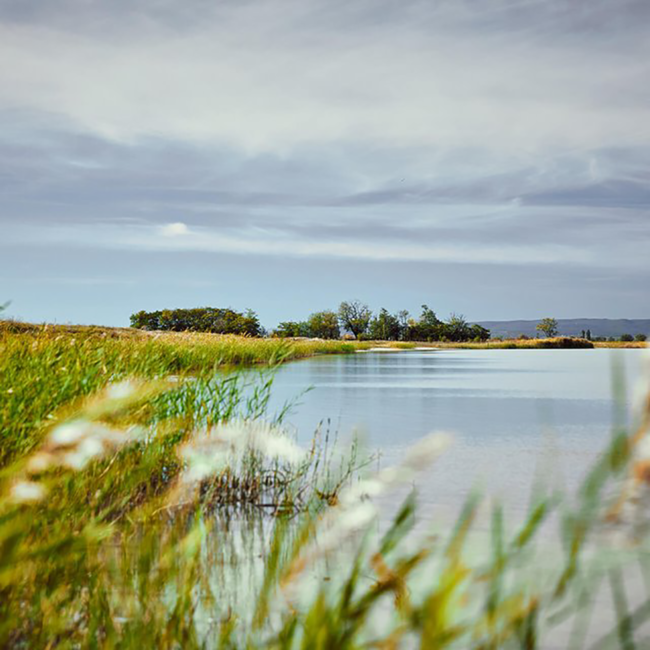 Chardonnay Salzlacke 2022 Magnum 1.50 l*