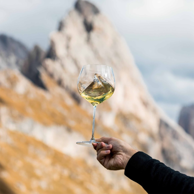 TROY Chardonnay Alto Adige DOC 2019 0.75 l