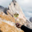 TROY Chardonnay Alto Adige DOC 2019 0.75 l