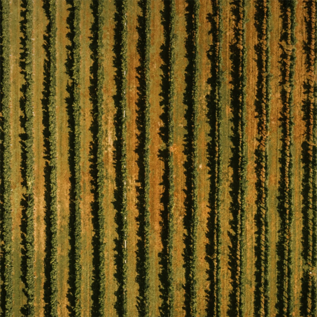 The Legends (CS/ME) 2023 0.75 l