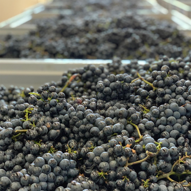 Big John Cuvee Reserve (ZW/CS/PN) 2022 0.75 l