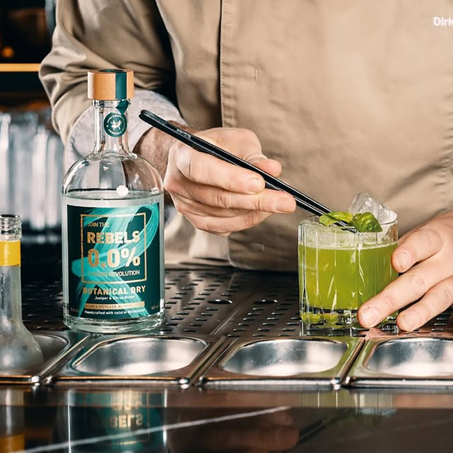 Rebels 0,0% Botanical Dry Alkoholfrei 0.50 l