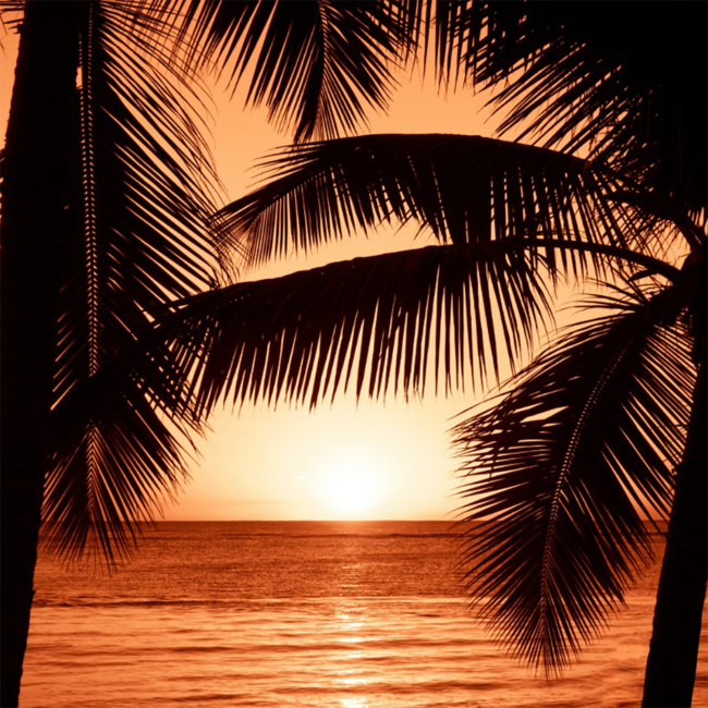 Gold of Mauritius Classic Edition "The Heritage Selection" Dark Rum 0.7 l 40% vol