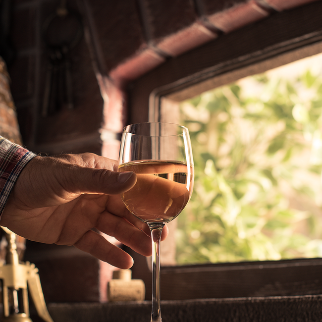 Grüner Veltliner Ried Kellerberg 2022 0.75 l