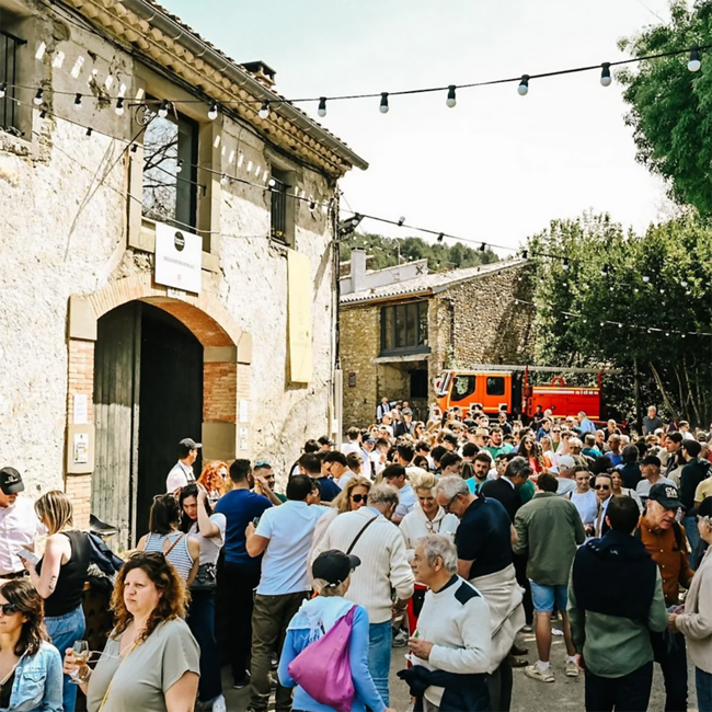 L’Oracle Cinsault Rose IGP Pays d’Oc 0.75 l