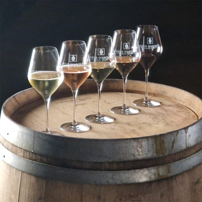 Chardonnay Origine Haute Vallee de l'Aude IGP Vin Pays 2024 0.75 l *Sulfitfrei*