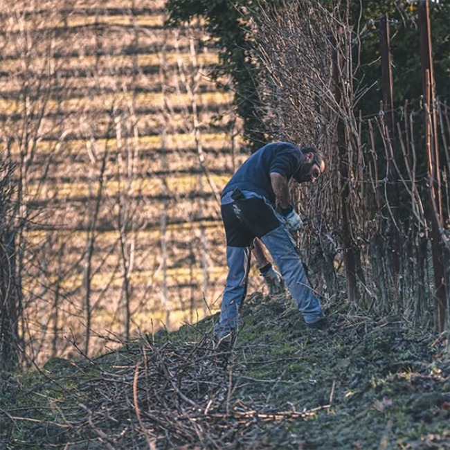Occhetti Langhe Nebbiolo DOC 2023 0.75 l