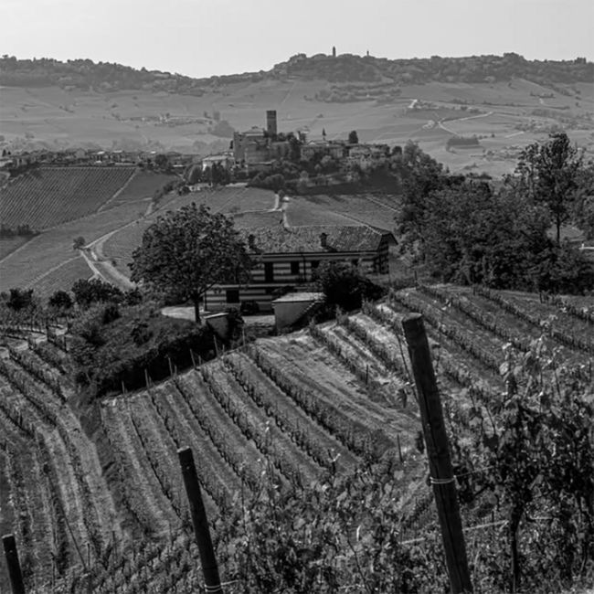 Occhetti Langhe Nebbiolo DOC 2023 0.75 l