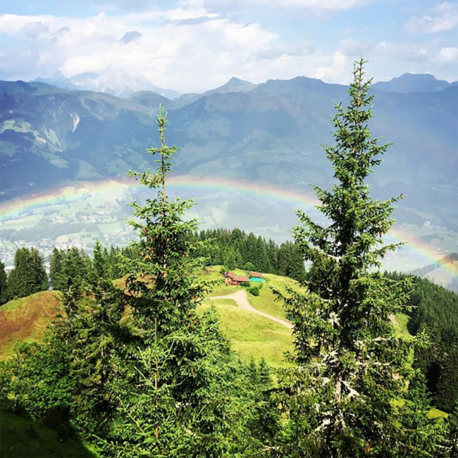 Grüner Veltliner Federspiel Dürnstein Wachau DAC Magnum 2023 1.50 l