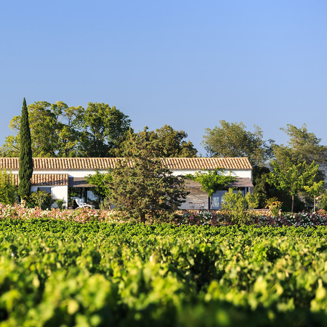 Mediterranee Rose IGP 2023 0.75 l